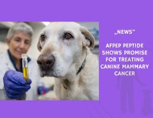 News-AFPep Peptide Shows Promise for Treating Canine Mammary Cancer