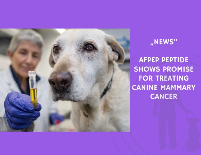 News-AFPep Peptide Shows Promise for Treating Canine Mammary Cancer