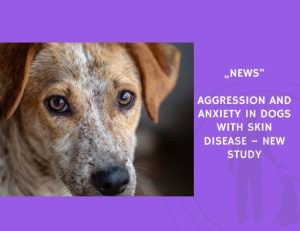 News-Aggression and Anxiety in Dogs With Skin Disease – New Study