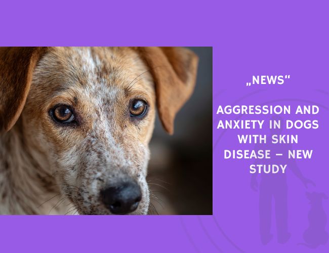 News-Aggression and Anxiety in Dogs With Skin Disease – New Study