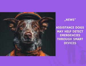 News-Assistance Dogs May Help Detect Emergencies Through Smart Devices