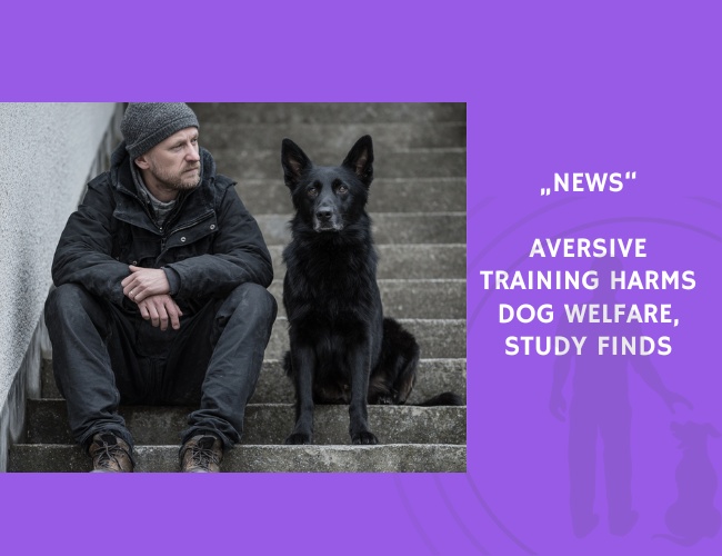 News-Aversive Training Harms Dog Welfare, Study Finds