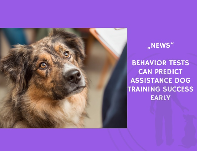 News-Behavior Tests Can Predict Assistance Dog Training Success Early