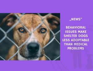 News-Behavioral Issues Make Shelter Dogs Less Adoptable Than Medical Problems