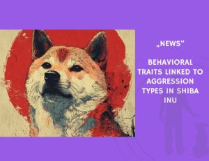 News-Behavioral Traits Linked to Aggression Types in Shiba Inu
