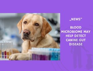 News-Blood Microbiome May Help Detect Canine Gut Disease