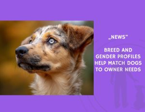 News-Breed and Gender Profiles Help Match Dogs to Owner Needs