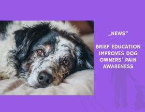 News-Brief Education Improves Dog Owners’ Pain Awareness