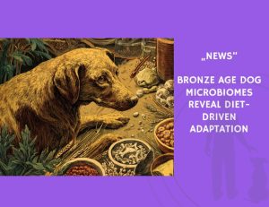 News-Bronze Age Dog Microbiomes Reveal Diet-Driven Adaptation