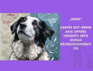 News-Canine Gut-Brain Axis Offers Insights Into Human Neurodegeneration
