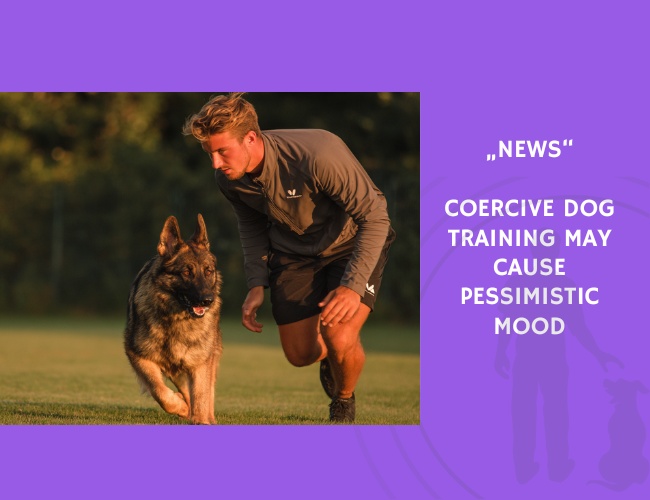News-Coercive Dog Training May Cause Pessimistic Mood