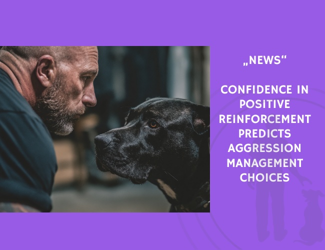 News-Confidence in Positive Reinforcement Predicts Aggression Management Choices