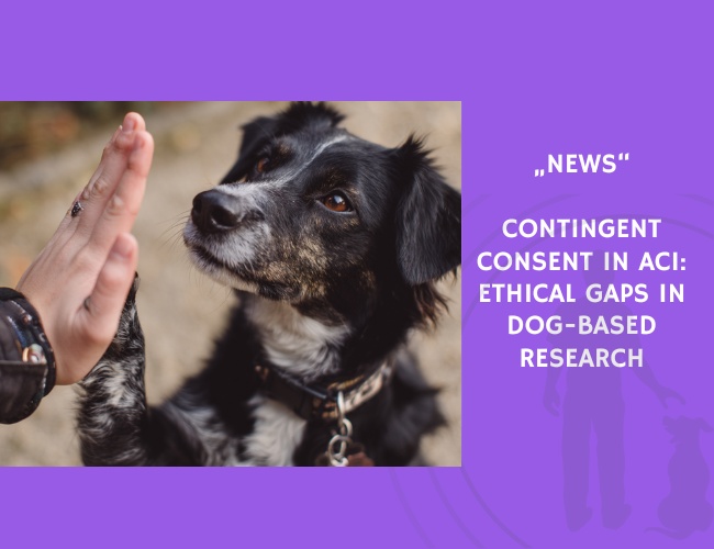 News-Contingent Consent in ACI Ethical Gaps in Dog-Based Research