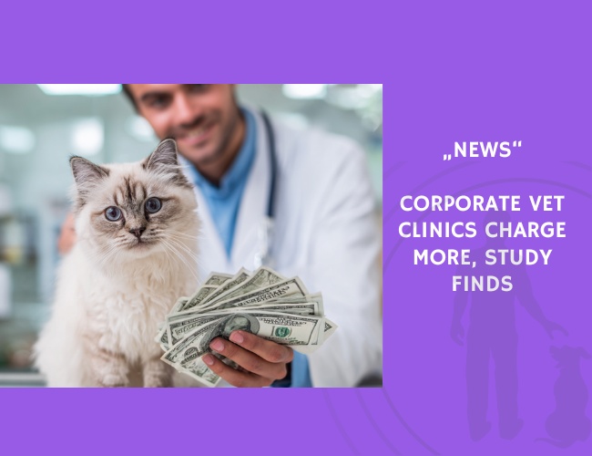 News-Corporate Vet Clinics Charge More, Study Finds