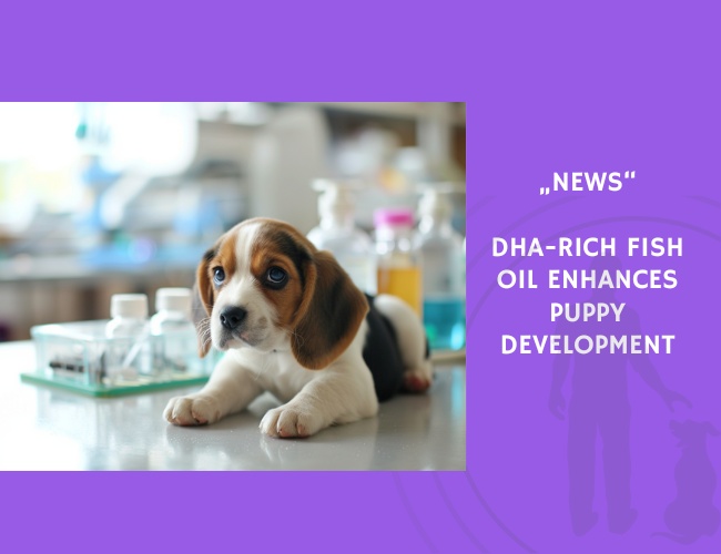 News-DHA-Rich Fish Oil Enhances Puppy Development