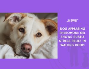 News-Dog Appeasing Pheromone Gel Shows Subtle Stress Relief in Waiting Room
