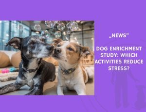 News-Dog Enrichment Study Which Activities Reduce Stress