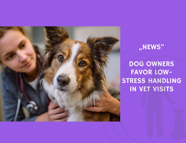 News-Dog Owners Favor Low-Stress Handling in Vet Visits