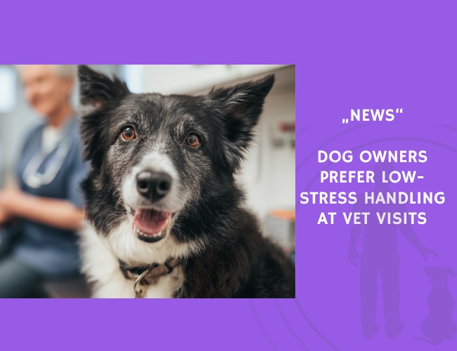 News-Dog Owners Prefer Low-Stress Handling at Vet Visits