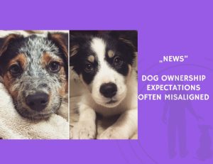 News-Dog Ownership Expectations Often Misaligned