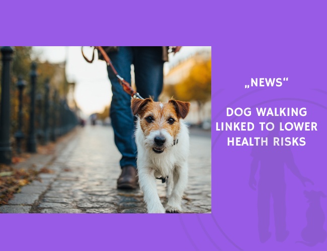 News-Dog Walking Linked to Lower Health Risks