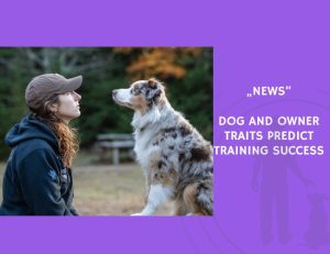 News-Dog and Owner Traits Predict Training Success