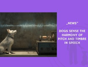 News-Dogs Sense the Harmony of Pitch and Timbre in Speech