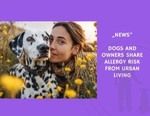 News-Dogs and Owners Share Allergy Risk from Urban Living