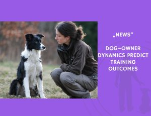 News-Dog–Owner Dynamics Predict Training Outcomes