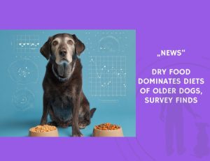 News-Dry-Food-Dominates-Diets-of-Older-Dogs-Survey-Finds