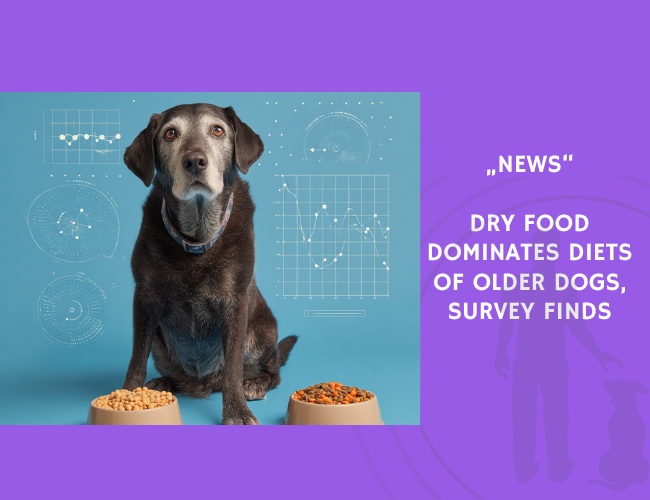 News-Dry-Food-Dominates-Diets-of-Older-Dogs-Survey-Finds
