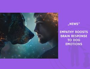 News-Empathy Boosts Brain Response to Dog Emotions