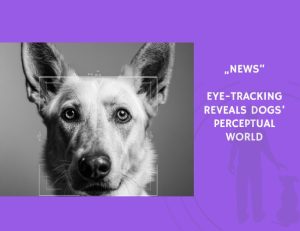 News-Eye-Tracking Reveals Dogs’ Perceptual World