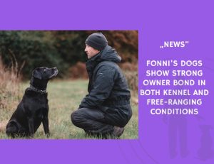 News-Fonni’s Dogs Show Strong Owner Bond in Both Kennel and Free-Ranging Conditions