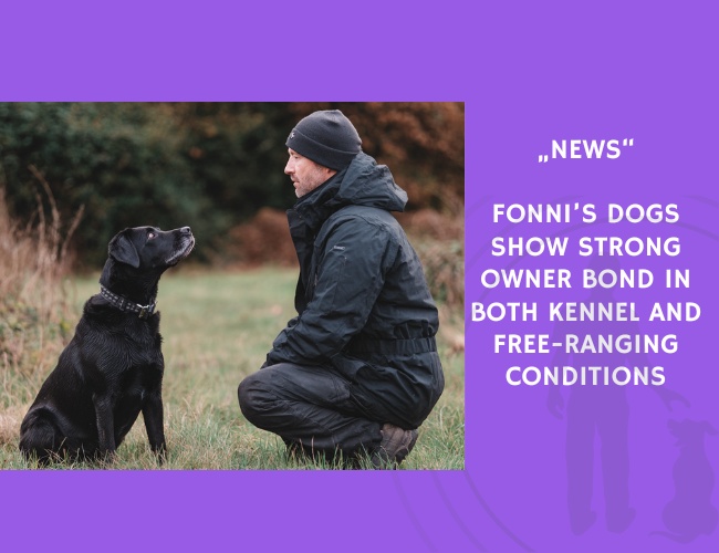 News-Fonni’s Dogs Show Strong Owner Bond in Both Kennel and Free-Ranging Conditions