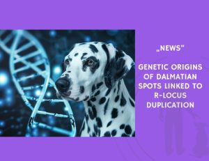 News-Genetic Origins of Dalmatian Spots Linked to R-Locus Duplication