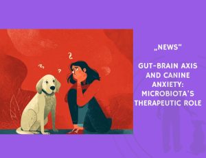 News-Gut-Brain Axis and Canine Anxiety Microbiota's Therapeutic Role