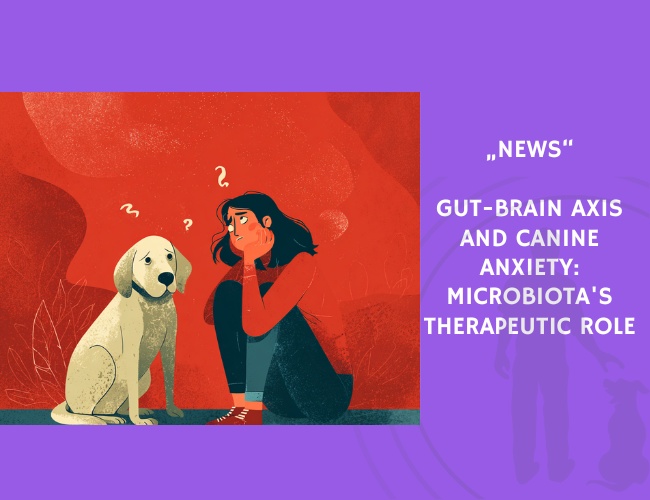 News-Gut-Brain Axis and Canine Anxiety Microbiota's Therapeutic Role