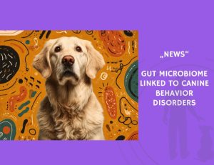 News-Gut Microbiome Linked to Canine Behavior Disorders