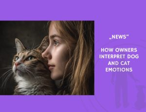News-How Owners Interpret Dog and Cat Emotions
