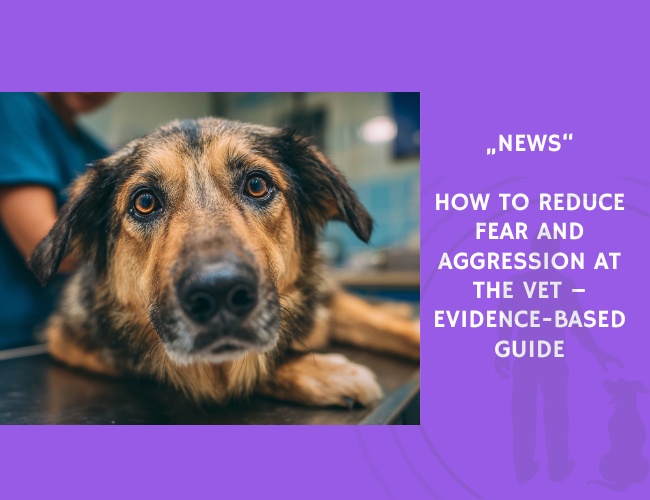 News-How to Reduce Fear and Aggression at the Vet – Evidence-Based Guide