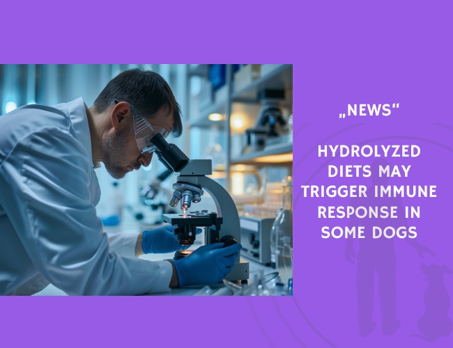 News-Hydrolyzed Diets May Trigger Immune Response in Some Dogs