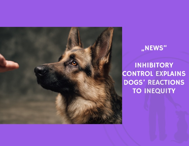 News-Inhibitory Control Explains Dogs’ Reactions to Inequity