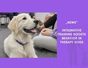 News-Integrative Training Boosts Behavior in Therapy Dogs