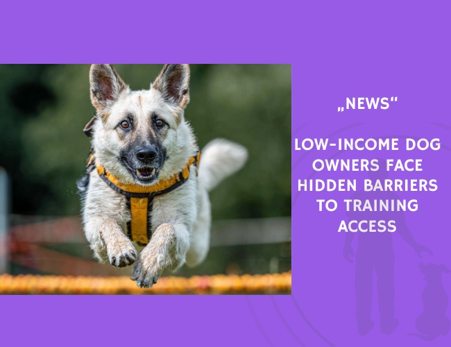 News-Low-Income Dog Owners Face Hidden Barriers to Training Access