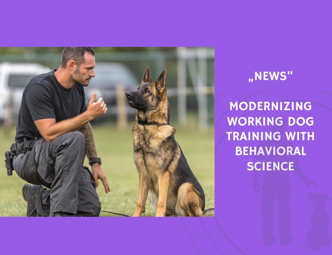 News-Modernizing Working Dog Training with Behavioral Science