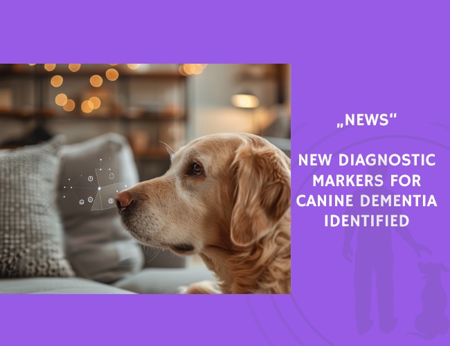 News-New Diagnostic Markers for Canine Dementia Identified