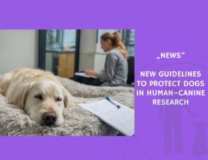 News-New Guidelines to Protect Dogs in Human–Canine Research