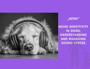 News-Noise Sensitivity in Dogs Understanding and Managing Sound Stress