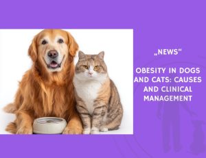 News-Obesity in Dogs and Cats Causes and Clinical Management